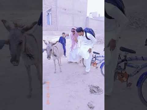 Valla Valla Habibi Habibi Funny Short Video 