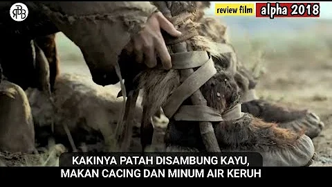 FILM SURVIVAL PALING SERU! - Review film ALPHA