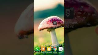 دورة 1sketchware: صنع أول تطبيق في حياتك بكل بساطة وبطريقة الخاصة screenshot 2