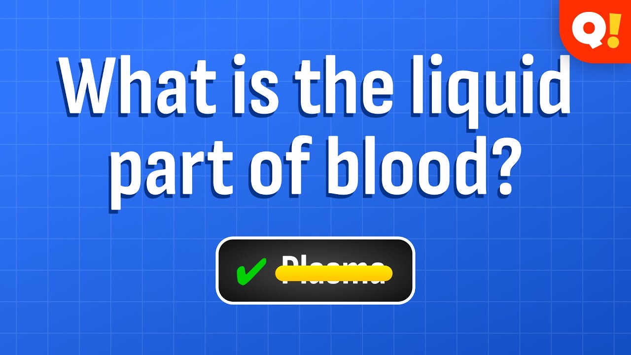 DAILY QUIZ 20 - Test Your General Knowledge!