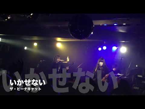 【LIVE】いかせない/ザ・ヒーナキャット【町田２０１９】