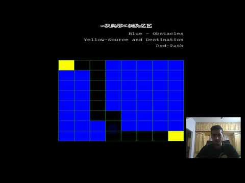 Rat Maze Problem with Graphics