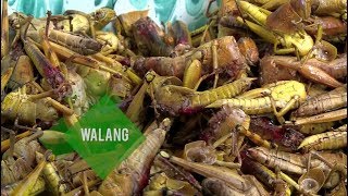 RAGAM INDONESIA | YANG UNIK DARI GUNUNG KIDUL (14/05/18)