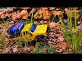 Mud, Power, and Grit: Red RC Car Takes Off-Road to the Extreme,Rc Truck Car Perfect,Power 67