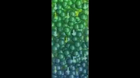 Reactors - Trickle Bed Reactor