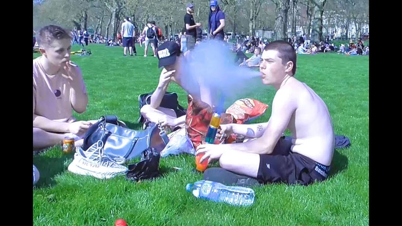 Vegan Vs. Stoners at 420