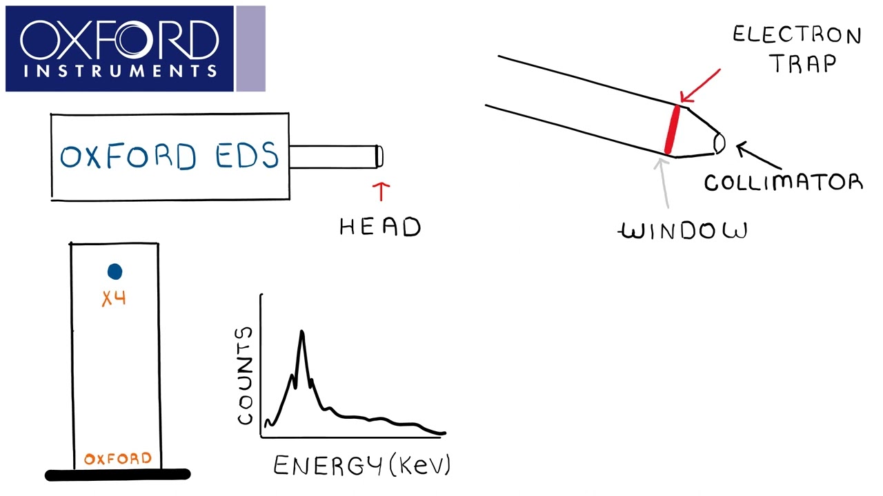 Components of an EDS detector – Oxford Instruments Bitesized