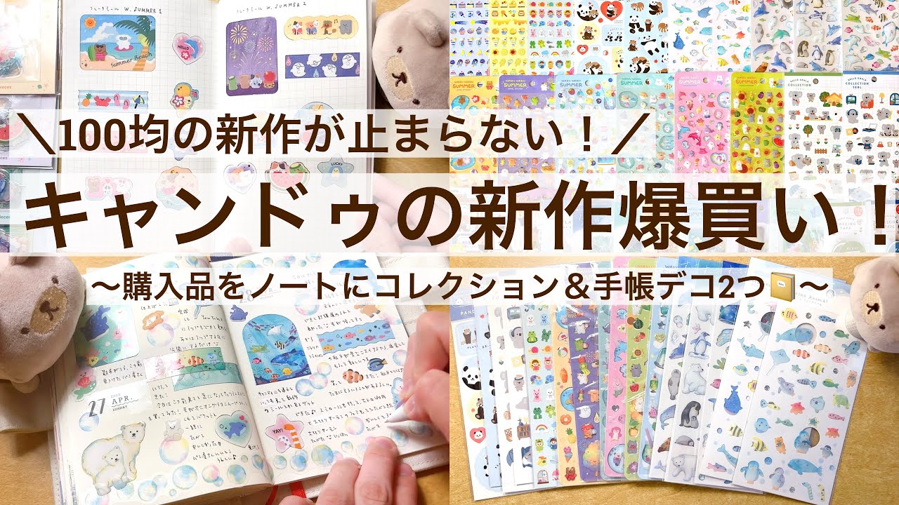 【100均・手帳デコ】100均の新作が止まらない！キャンドゥの新作爆買い！｜購入品をノートにコレクション＆手帳デコ2つ📔 2529