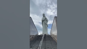 Hành hương Đức Mẹ Núi Cúi #thánhcaphinguyễn #lamdep #daugoidau #salon #travel