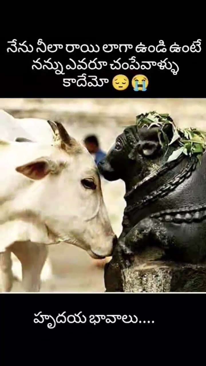 🌹🕉️ భక్తి సమాచారం 🕉️🌹 - ShareChat