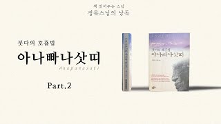 【책읽어주는스님】 명상의 지침서 l 붓다의 호흡법 아나빠나삿띠 2편 l 호흡 명상 l 마음챙김 명상 l 누구나 실천할 수 있는 수행법