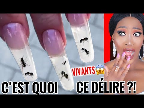 Vous ne savez pas ce dont ils sont capables