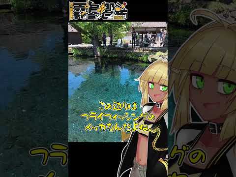 【バイク車載】霧島、めっちゃ綺麗な池見に行ったってよ(忍野八海)【Vtuber】