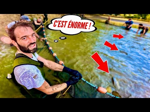 Cet étang se vide après 45 ans et les gros poissons font surface !! (On les pêche pour les sauver)