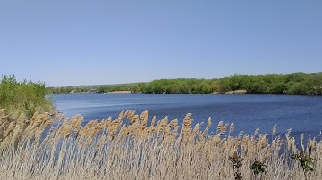 TCL 10 PRO 4K Daytime Video Test!