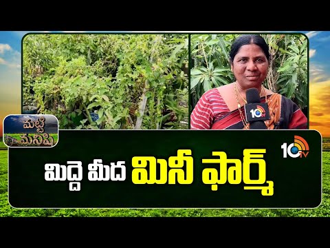 మిద్దె మీద మినీ ఫార్మ్ | Urban Farming Success Story | Mini Farm on Rooftop | Matti Manishi | 10TV - 10TVNEWSTELUGU