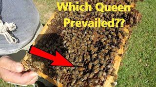 Hive Inspection on Double Queen