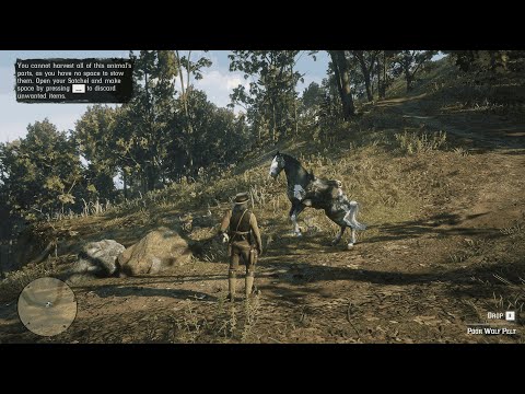 صيد الحيوانات المهددة بالأنقراض  red dead redemption 2 hunting best animals