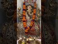 #ganpati ji#ganpatibappamorya #trending #song #ytshorts #youtubeshorts #viralvideo #bhakti #jaiho #