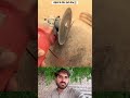 گرمی میں پیاسے پرندوں کے لیے ایک چھوٹا قدم، بڑی نیکی 🐦💧