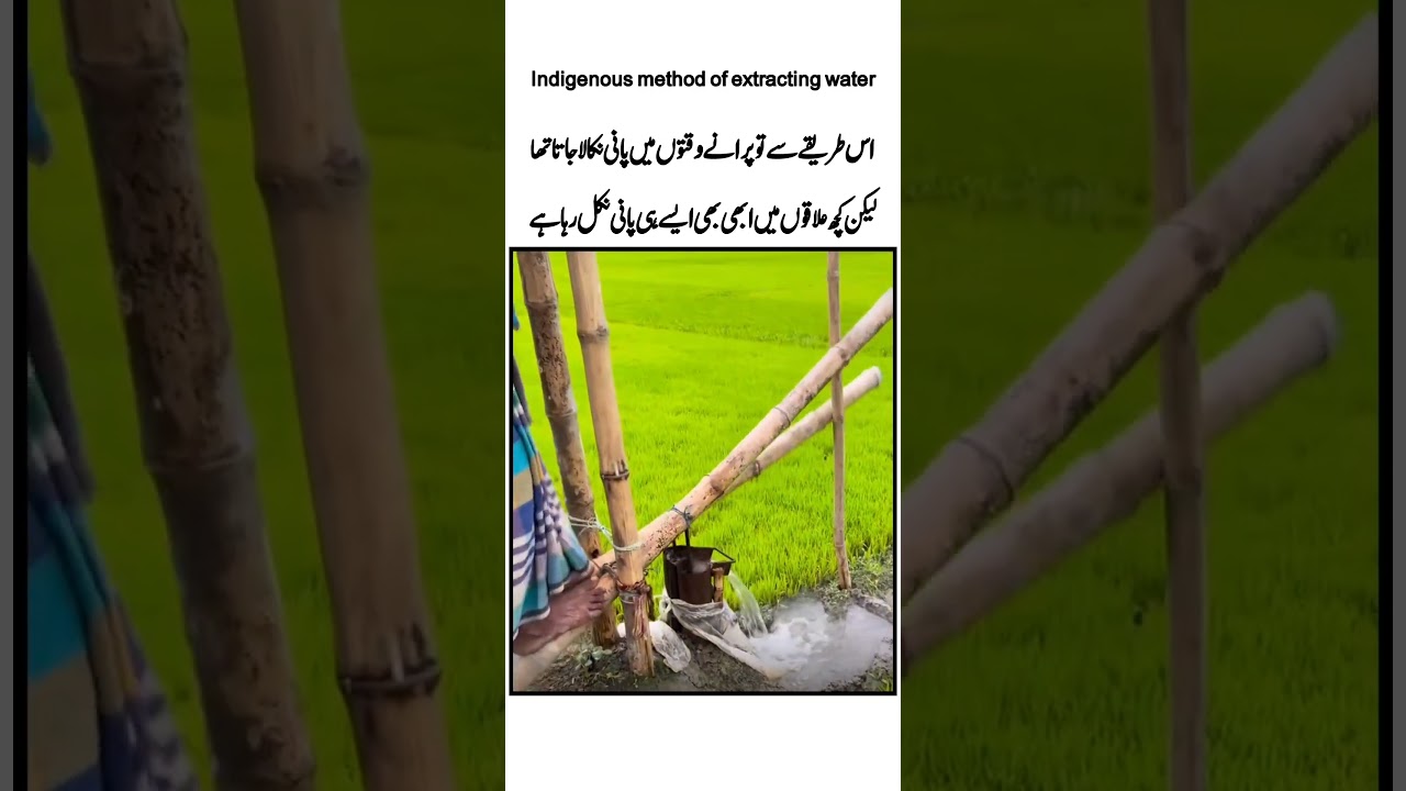 Indigenous Method of Extracting Water|Best Quotes|Golden Words|Inspiration|