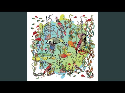 John Zorn — Little Bittern