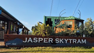 Exploring Rides With The Skytram Zenith Bee