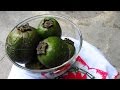 Postre de Zapote-Receta de Zapote Batido-lasdeliciasdelupita