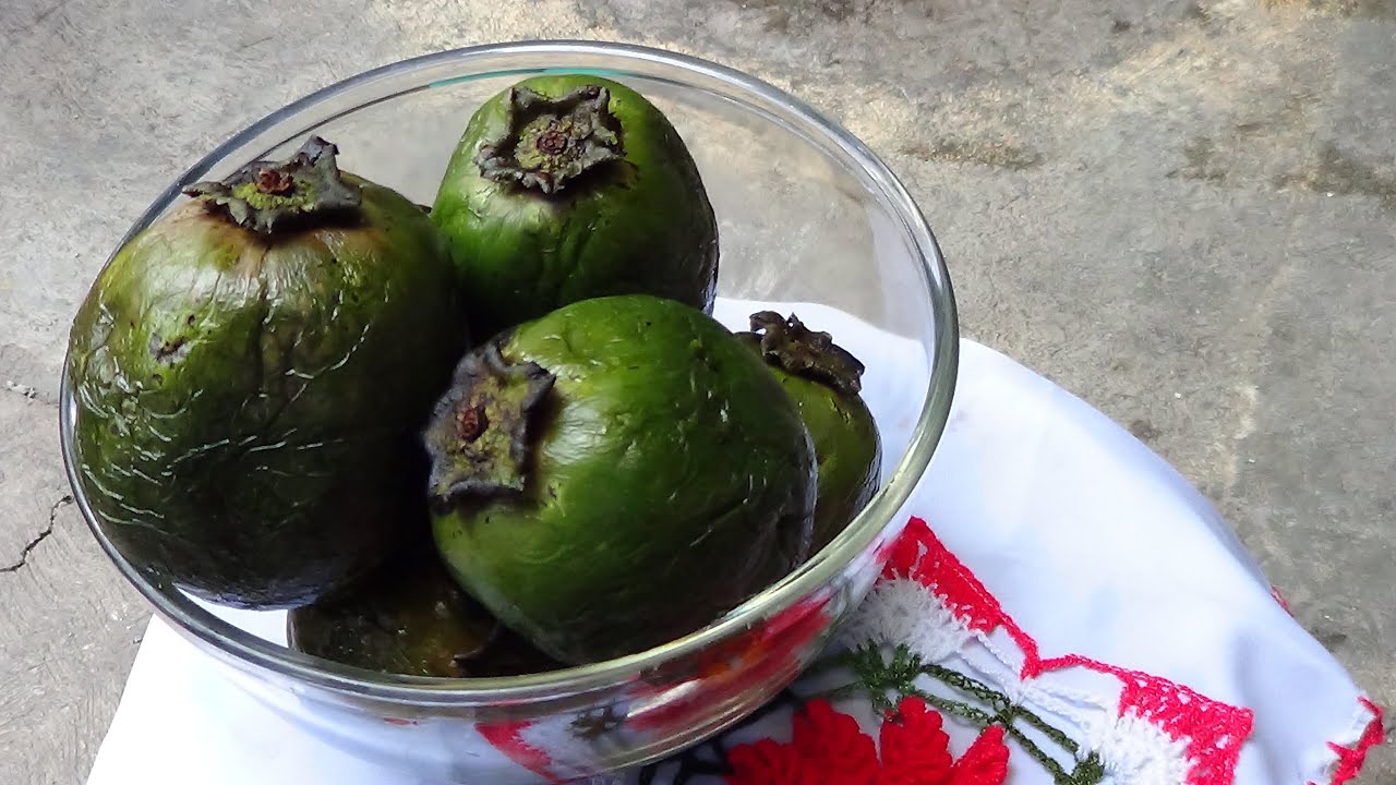 Postre de ZapoteReceta de Zapote Batidolasdeliciasdelupita YouTube