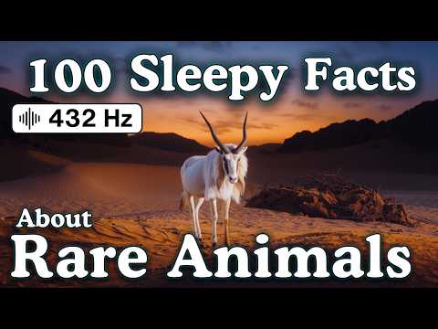 The Most Relaxing Facts About Rare Animals to Fall Asleep To — No Adverts