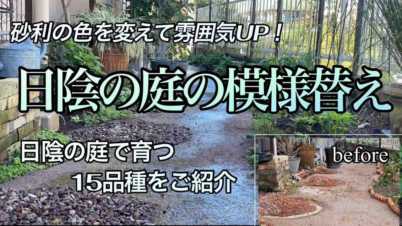 【日陰の庭作り】【日陰で育つ植物15品種】