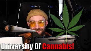 Dan Enrolls In The University Of Cannabis!