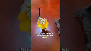 Este michi girasol es de la suerte ✨🌻 #gatos #viral #shorts
