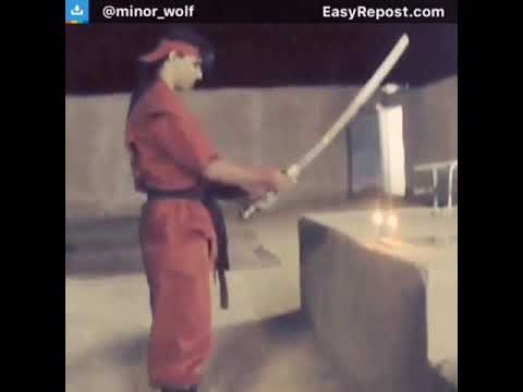 من عروض ماينور بالسيف ملك السيف حقا ماشاء الله 