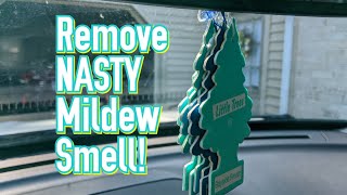 Removing NASTY mildew smell from your car's interior  Steps, products and tips!