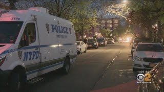 Elderly Woman Attacked In Brooklyn