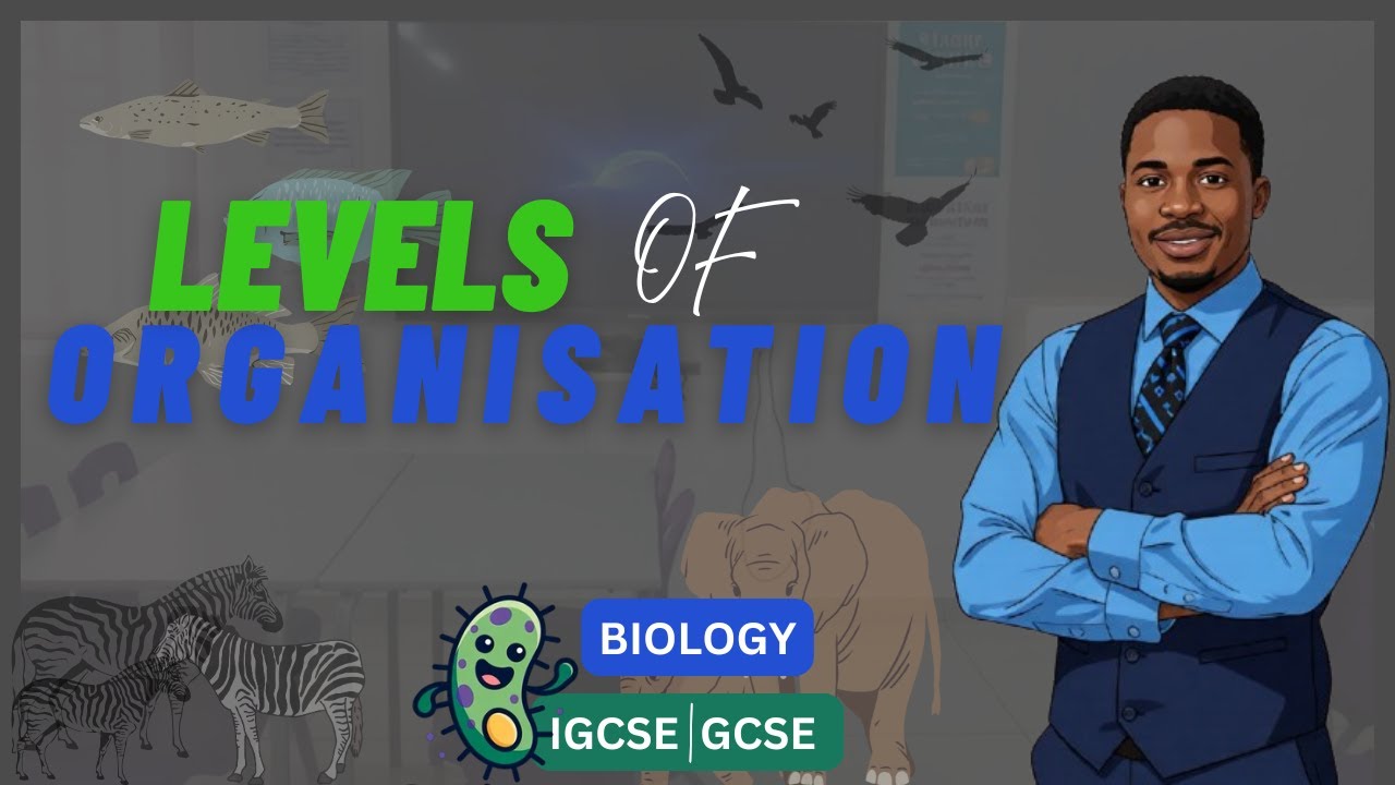 LEVELS OF ORGANIZATION FOR IGCSE AND GCSE BIOLOGY - YouTube