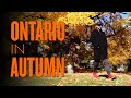 Toronto, The Thomas Fisher Rare Book Library, &amp; the Leaves at Mount Pleasant Cemetery | Slade Runner