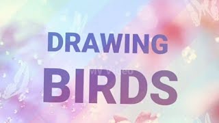 Different Kinds Of Birds Anushkas Art Creation