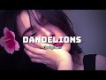 Dandelions Slowed Reverb New Song Views Viral 100k Aesthetic Edit mp3