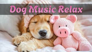 Kaygılı Köpekler İçin Müzik 🐾 | 10 Saat Huzurlu Uyku ve Rahatlama | Reklamsız screenshot 5