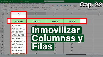 Como Inmovilizar Columnas y Filas en Excel al mismo tiempo 🔒