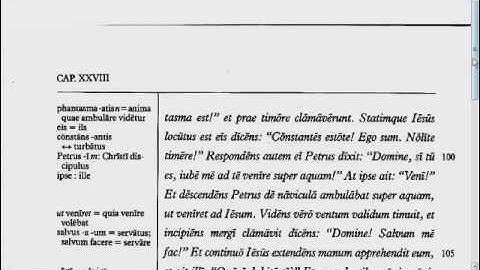 Lingua - 28.3 - Reading Tutorial