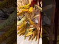 Raz 24" Fall Astilbe Wreath with Ribbon W4608008