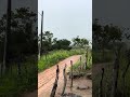 Meu deus olha a situação da estrada após chuva em Buíque