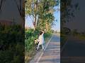 #shortsclip, #shortscraft, #subscribe, #shortsbeta, #shortsfunny, #shortsasmr, #shortsart, #chatgpt