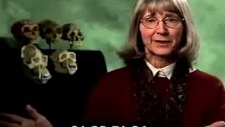 Science Works! Why we don't teach creationism in science class.