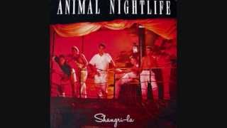 Animal Nightlife - Bittersweet [HQ Audio]