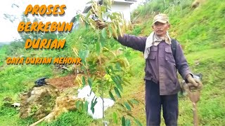 PEMBUKAAN LAHAN BARU KEBUN DURIAN PREMIUM | proses berkebun durian yang baik agar cepat tumbuh subur