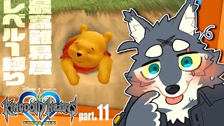 最弱の俺でも君を救えたら：１１【キングダムハーツHD1.5+2.5リミックス】